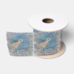 kleine stierenvogel lint