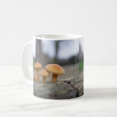 Kleine Toadstools Macro Mok (Voorkant links)