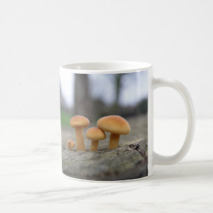 Kleine Toadstools Macro Mok