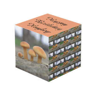 Kleine Toadstools Macro op maat Kubus