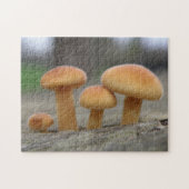 Kleine Toadstools Macro Puzzle Legpuzzel (Horizontaal)