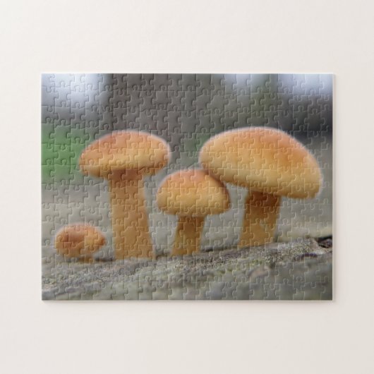 Kleine Toadstools Macro Puzzle Legpuzzel (Horizontaal)