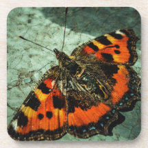 Kleine tortoiseshel Butterfly