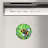 Kleine tortoiseshel Butterfly Magneet (Insitu (Vaatwasser))