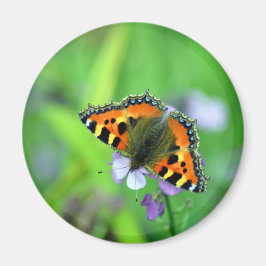 Kleine tortoiseshel Butterfly Magneet