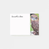 Kleine uil Post-It Notes (Voorkant)