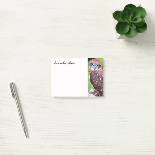 Kleine uil Post-It Notes (Kantoor)