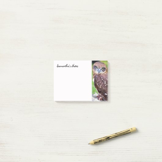 Kleine uil Post-It Notes (Op bureau)