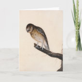 kleine uil | William Lewin Kaart (Voorkant)