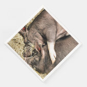 KLEINE VARKENS SERVET (Hoek)