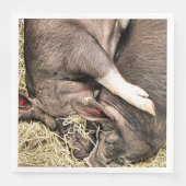 KLEINE VARKENS SERVET (Voorkant)