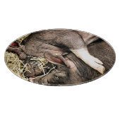 KLEINE VARKENS SNIJPLANK (Hoek)