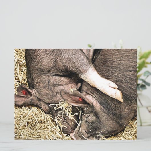 KLEINE VARKENS-uitnodiging (Staand voorkant)