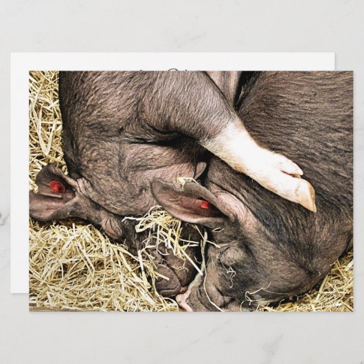 KLEINE VARKENS-uitnodiging (Voorkant / Achterkant)