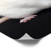 Kleine ventilator - Rat Poster (Hoek)