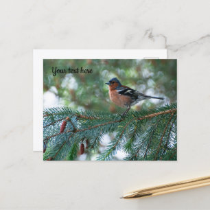 Kleine vink ansichtkaart briefkaart