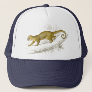 Kleine vintage beer van kinkajou trucker pet