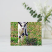 Kleine Vlek De Geit Kind Briefkaart (Staand voorkant)