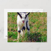 Kleine Vlek De Geit Kind Briefkaart (Voorkant / Achterkant)