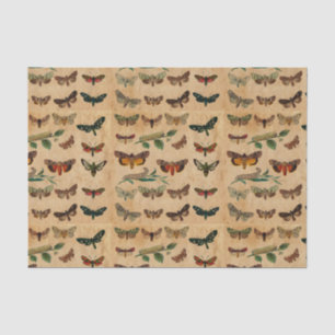  kleine vlinders Verzameld papier ontkoppelen