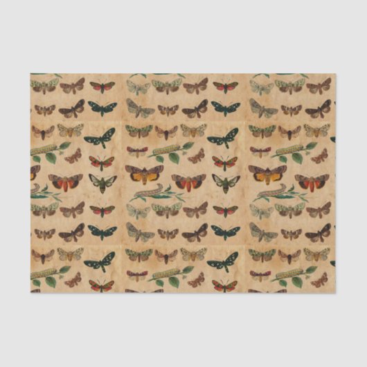  kleine vlinders Verzameld papier ontkoppelen (Voorkant)