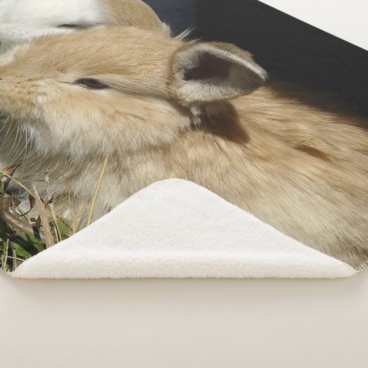 Kleine vloedbunnies sherpa deken (3/4)