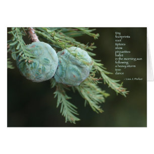 Kleine voetafdrukken met gedicht