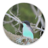 Kleine vogel in blauw en groene lade trekken keramische knop (Voorkant)
