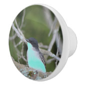 Kleine vogel in blauw en groene lade trekken keramische knop (Rechts)