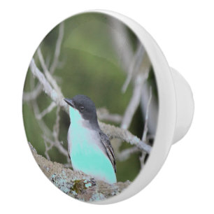 Kleine vogel in blauw en groene lade trekken keramische knop