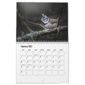 Kleine Vogel Kalender (Feb 2027)