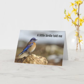Kleine vogel zei me, wees voorzichtig met wat je w kaart