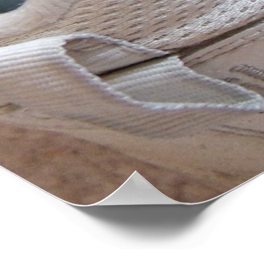 Kleine vogelblauwe papegaaiparrotlet in een schoen poster (Hoek)