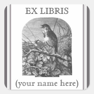 kleine vogeletsplaat vierkante sticker