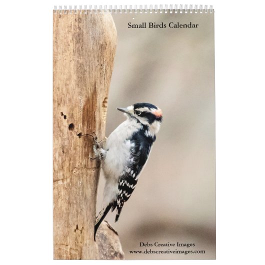 Kleine Vogels 2026 Kalender (Hoes)