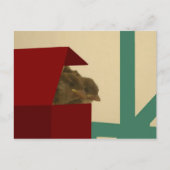 Kleine vogels briefkaart (Voorkant)