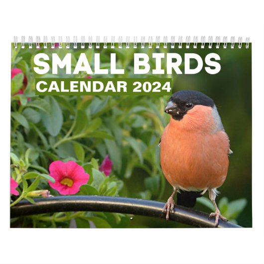 Kleine Vogels Kalender 2025 (Hoes)