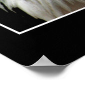 KLEINE WANNEER U ZEGT INFIDEL TE INFITEREN POSTER (Hoek)