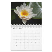 Kleine Waterlelies Agenda 2026 Kalender (Feb 2027)
