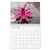 Kleine Waterlelies Agenda 2026 Kalender (Mar 2027)