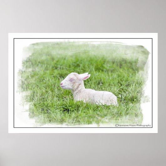 Kleine Waterverf met lampjes Fotografische afdrukk Poster (Voorkant)