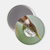 Kleine Wereldwaterdruppel Magneet (Voorkant / Achterkant)