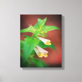 Kleine witte bloem dicht canvas afdruk (Voorkant)