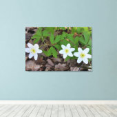 kleine witte bloemen canvas afdruk (Insitu (Houten vloer))