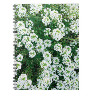 Kleine witte bloemen overdag in het gras notitieboek