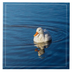 Kleine witte duck Reflecties Tegeltje