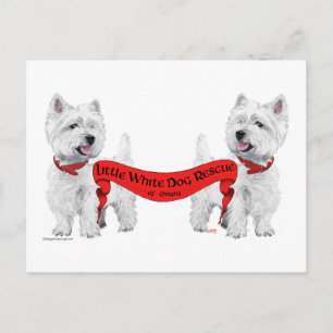 Kleine Witte Hond Redding Briefkaart