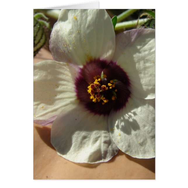  kleine witte ventilator (Voorkant)