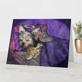 Kleine Yorkie Slapende Engel Halo Herdenkingskunst Kaart