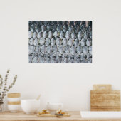 Kleine zalmschalen poster (Keuken)